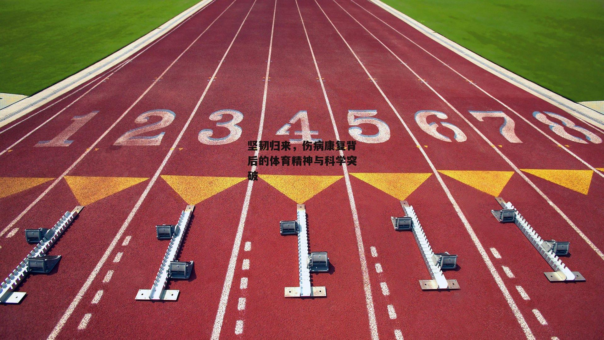坚韧归来,伤病康复背后的体育精神与科学突破