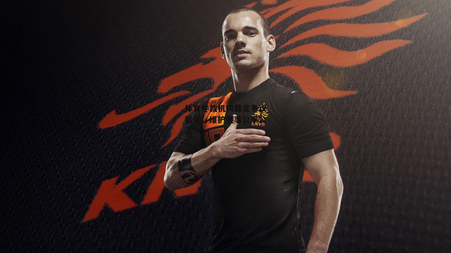 体育仲裁机构裁定争议案件，维护赛事公平公正