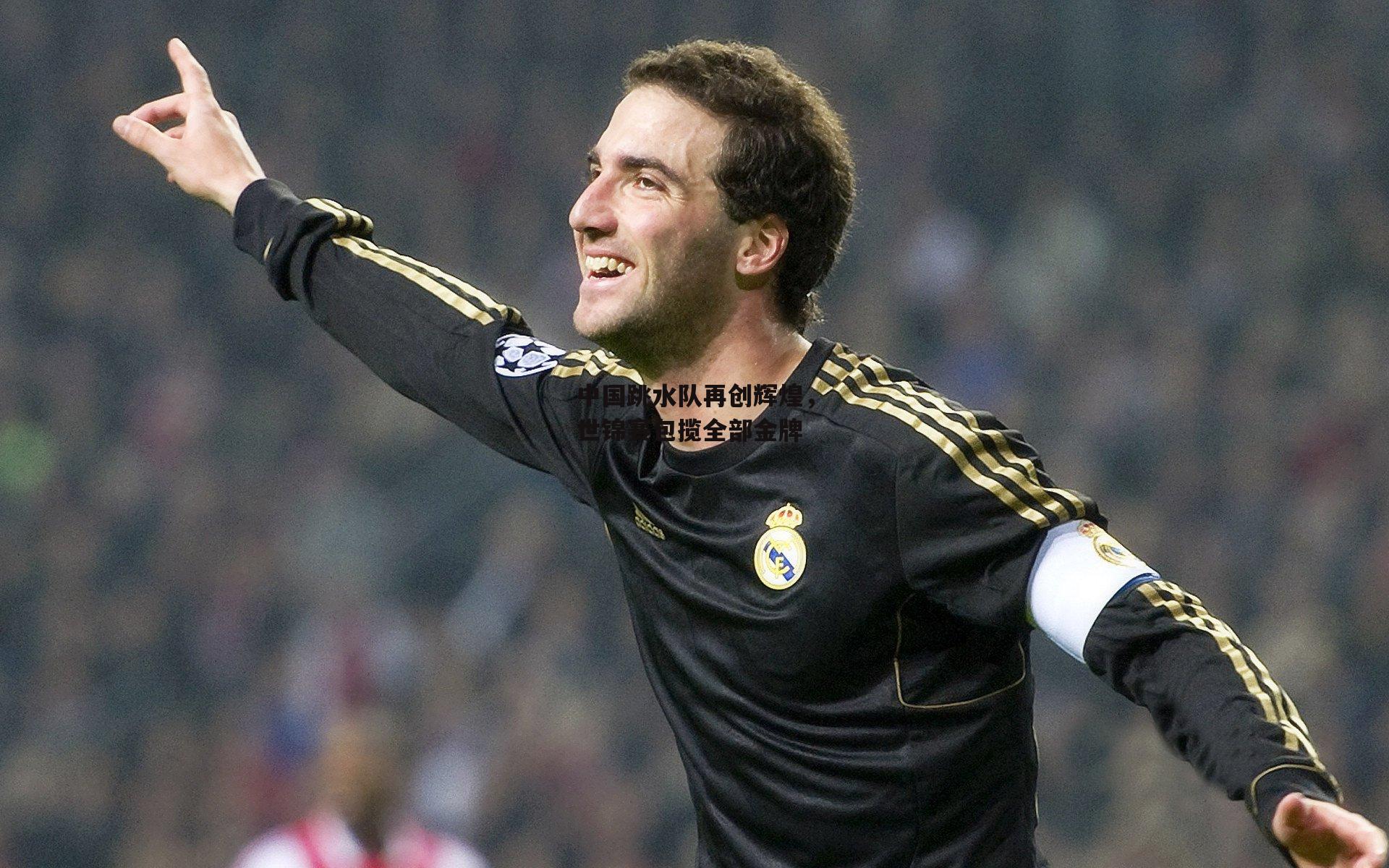 中国跳水队再创辉煌，世锦赛包揽全部金牌